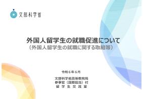 外国人留学生の就職促進について（外国人留学生の就職に関する取組等）（資料）