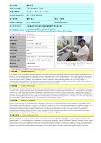 Follow-up Research Fellowship Reports for FY 2020 (The University of Tokyo)